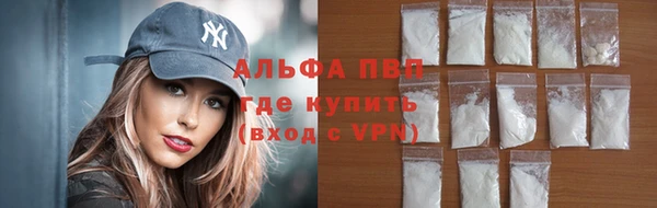 гидра Алзамай
