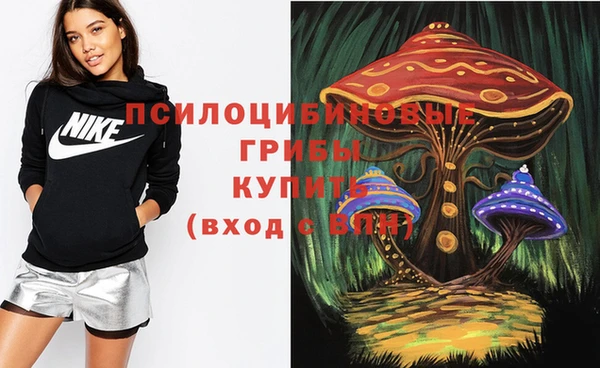 прущая мука Абаза