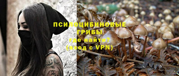 гидропоника Алексин