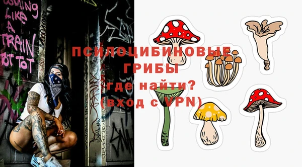 гидра Алзамай