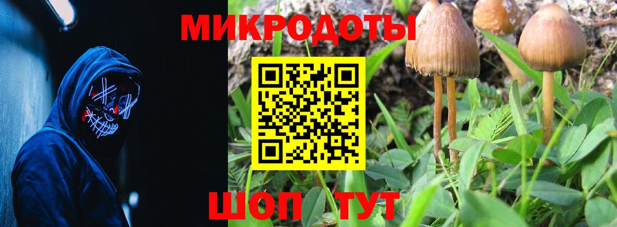 Темрюк  Галлюциногенные грибы GOLDEN TEACHER  даркнет сайт  Вход с VPN 